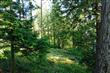 834 Briar Rd, Bellingham, WA 98225