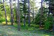 834 Briar Rd, Bellingham, WA 98225