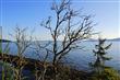 834 Briar Rd, Bellingham, WA 98225