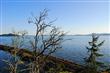 834 Briar Rd, Bellingham, WA 98225