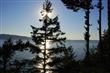 834 Briar Rd, Bellingham, WA 98225