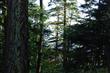 834 Briar Rd, Bellingham, WA 98225