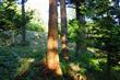 834 Briar Rd, Bellingham, WA 98225