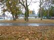 14706 Union Ave SW, Lakewood, WA 98498