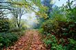 975 Reveille St, Bellingham, WA 98226