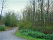 0 Water St, Hamilton, WA 98255