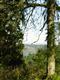 Vashon