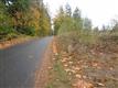 Redmond