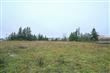 341  Telegraph Rd , Bellingham, WA