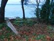 Vashon