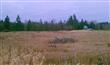 7985  Kickerville Rd , Blaine, WA