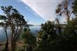 Vashon