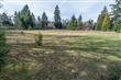 Vashon