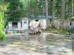 44935  Kayak Trail , Concrete, WA