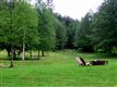 6400  Goodwin Rd , Everson, WA