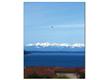 0  Chambers Bay Dr , Steilacoom, WA