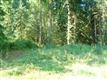 12028  Shuksan Rim Drive , Glacier, WA