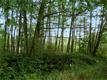 25 Grandview Rd, Ferndale, WA 98248