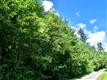 2300  H Street , Blaine, WA