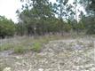 0 SW 209 AVE , Dunnellon, FL