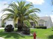 608  Ellsworth Way 