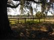 5011 W Hwy 329 , Reddick, FL