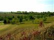 0  Lot 5 Clearwater Creek 