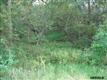 Lot 20  Rolling Acres , Fort Calhoun, NE