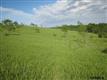 Lot 43 Cr39, Fort Calhoun, NE 68023