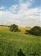5110 S 235th St., Elkhorn, NE 68022
