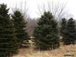 1220 Spring Valley Drive, Fort Calhoun, NE 68043
