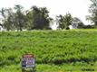 12535 S 229 Street , Gretna, NE