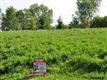 12511 S 229 Street , Gretna, NE