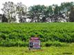 12345 S 230 Cr , Gretna, NE
