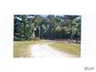 257  Elm , Wewahitchka, FL