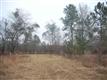 Lot 19 Waterside Estates, Latta, SC 29565