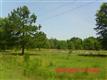 932 Waterway Court, Latta, SC 29565