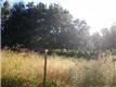 5780  R & R Ln , Milton, FL