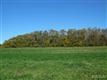 0  Schlink , Brimfield, IL