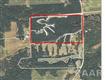 31722 N County Rd 16, London Mills, IL 61544