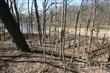 29  Brandy Lane , Mackinaw, IL