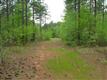 88 Ac on Orr Rd 1/4 Mile Off Sc 322, Mcconnells, SC 29726