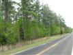 88 Ac on Orr Rd 1/4 Mile Off Sc 322, Mcconnells, SC 29726