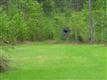 88 Ac on Orr Rd 1/4 Mile Off Sc 322, Mcconnells, SC 29726