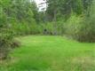 88 Ac on Orr Rd 1/4 Mile Off Sc 322, Mcconnells, SC 29726