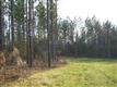 4065  Ramsey Road , Sharon, SC