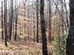 1681 Hannon Farm Road, Fort Mill, SC 29715