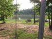 3777 Wilson Chapel Road, Sharon, SC 29742