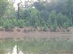 3777 Wilson Chapel Road, Sharon, SC 29742
