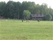 3777 Wilson Chapel Road, Sharon, SC 29742
